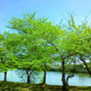 Meet your Posher, M j